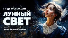 постер аудиокниги Лунный свет