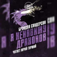 постер аудиокниги Я ненавижу драконов