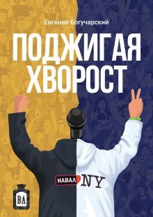 постер аудиокниги Поджигая хворост