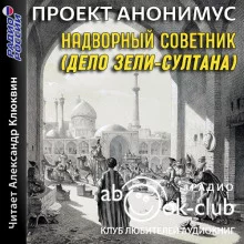 постер аудиокниги Надворный советник