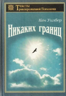 постер аудиокниги Безграничное