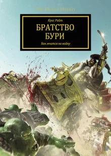 постер аудиокниги Братство Бури