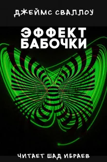 постер аудиокниги Эффект бабочки