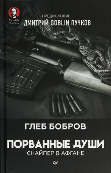 постер аудиокниги Снайпер в Афгане. Порванные души