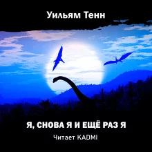 постер аудиокниги Я, снова я и ещё раз я