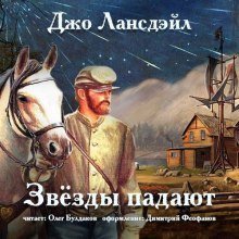 постер аудиокниги Звёзды падают