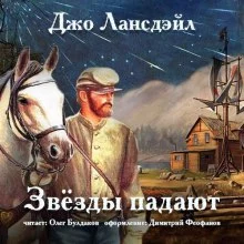 постер аудиокниги Звёзды падают