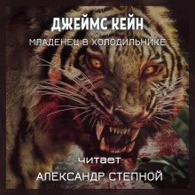 постер аудиокниги Младенец в холодильнике