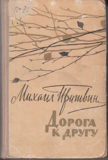 постер аудиокниги Дорога к другу