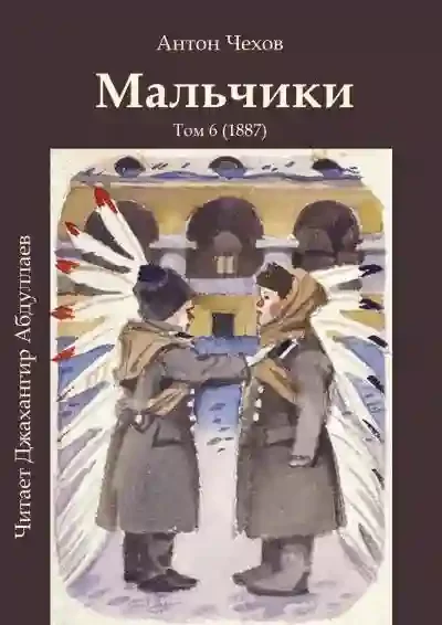 постер аудиокниги Мальчики