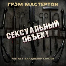 постер аудиокниги Сексуальный объект