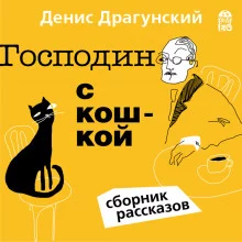 постер аудиокниги Господин с кошкой