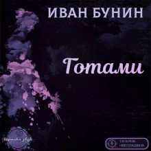постер аудиокниги Готами