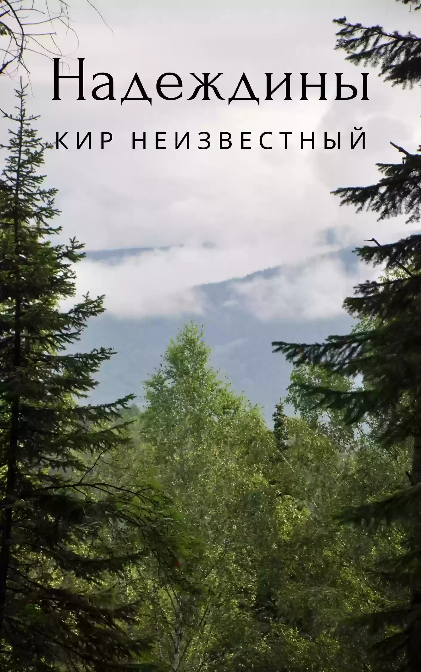 постер аудиокниги Надеждины