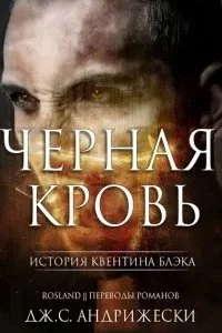 постер аудиокниги Тайна Квентина Блэка 3. Чёрное Рождество - Дж. С. Андрижески