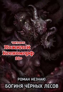 постер аудиокниги Богиня черных лесов