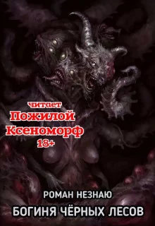 постер аудиокниги Богиня черных лесов