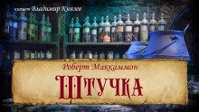 постер аудиокниги Штучка