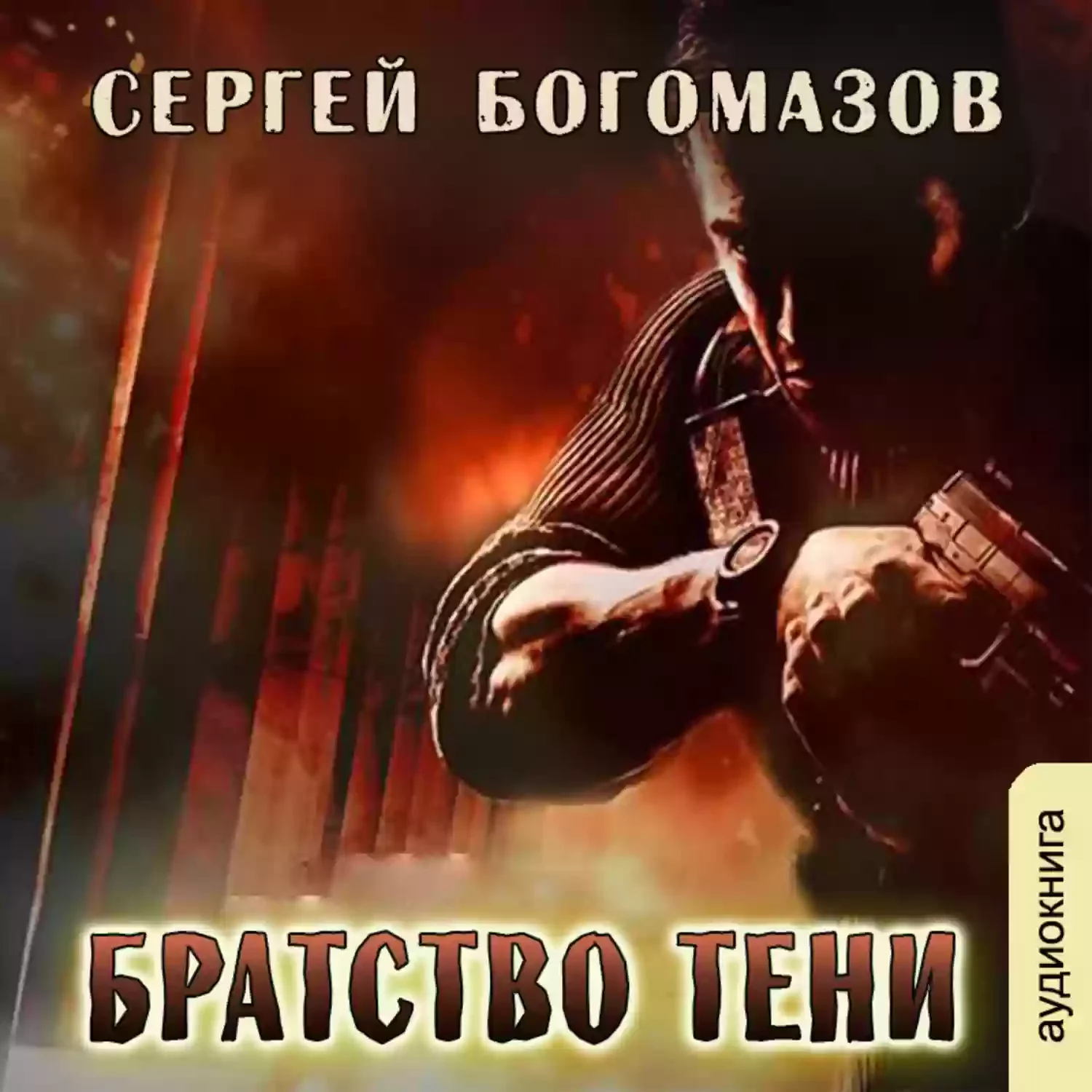 постер аудиокниги Братство Тени
