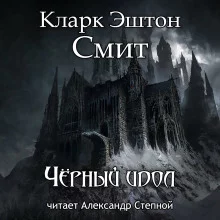 постер аудиокниги Чёрный идол