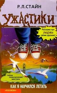 постер аудиокниги Как я научился летать - Стайн Роберт Лоуренс