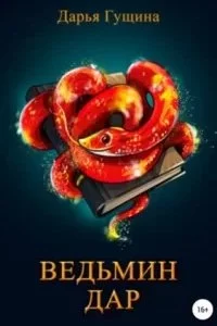 постер аудиокниги Ведь мы – ведьмы 3. Ведьмин дар - Дарья Гущина