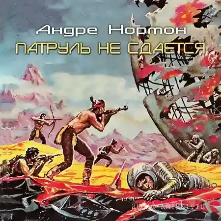 постер аудиокниги Патруль не сдается