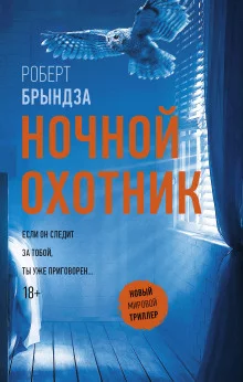постер аудиокниги Ночной охотник