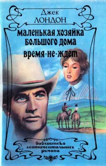 постер аудиокниги Время не ждет (День пламенеет)