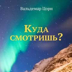 постер аудиокниги Куда смотришь? - Вальдемар Цорн