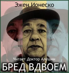 постер аудиокниги Бред вдвоем