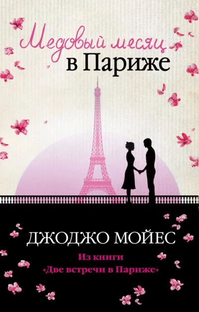 постер аудиокниги Две встречи в Париже (Медовый месяц в Париже) - Джоджо Мойес