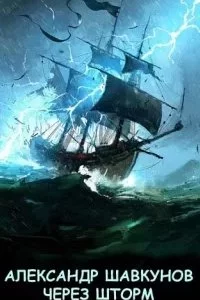 постер аудиокниги Бастард. Книга 6. Через шторм - Александр Шавкунов