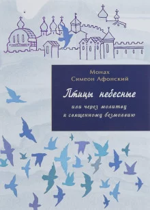 постер аудиокниги Птицы небесные или через молитву к священному безмолвию. Том II