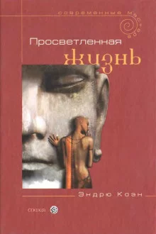 постер аудиокниги Просветленная жизнь
