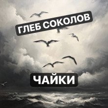 постер аудиокниги Чайки