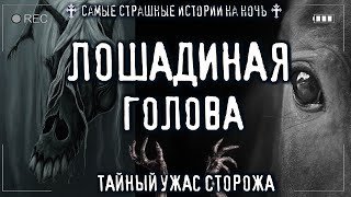 Ужас сторожа. Лошодиная голова - Sallivan