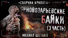 постер аудиокниги Новозарьевские байки 3
