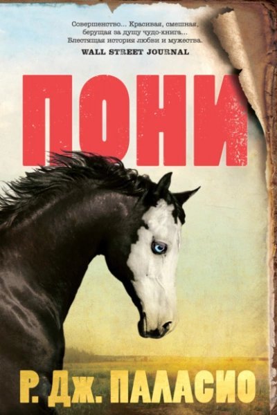 постер аудиокниги Пони - Ракель Паласио