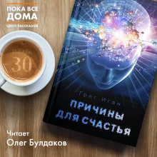 постер аудиокниги Причины для счастья