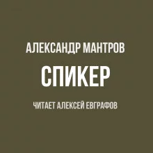 постер аудиокниги Спикер