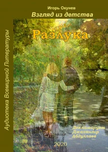 постер аудиокниги Разлука