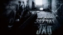 постер аудиокниги По ком звучит эхо?