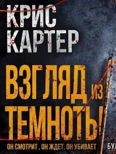 постер аудиокниги Взгляд из темноты - Крис Картер
