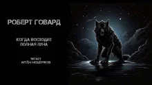 постер аудиокниги Когда восходит полная луна