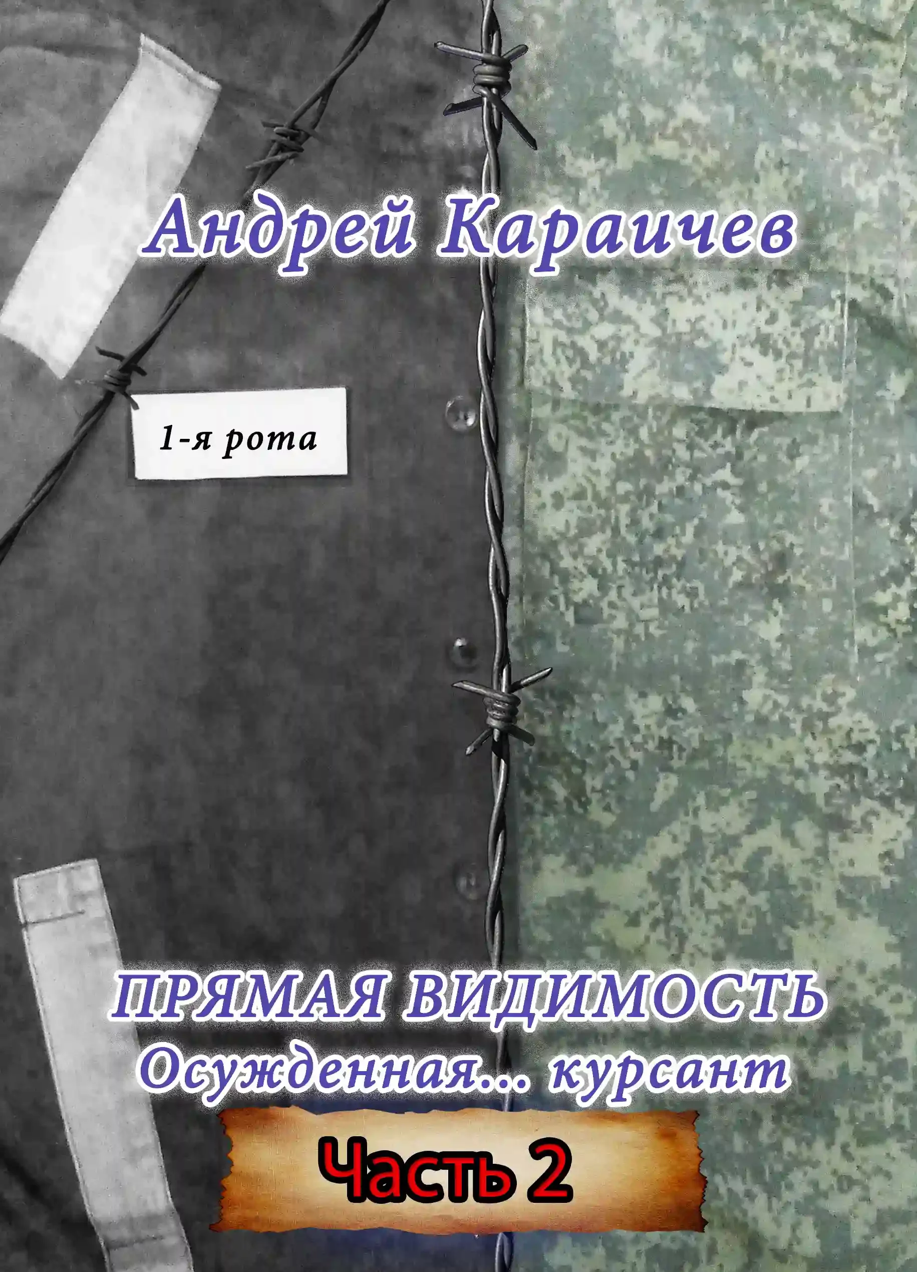 постер аудиокниги Прямая видимость. Часть 2
