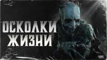 постер аудиокниги Осколки жизни
