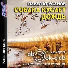 постер аудиокниги Собака кусает дождь - Павел Крусанов