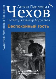 постер аудиокниги Беспокойный гость