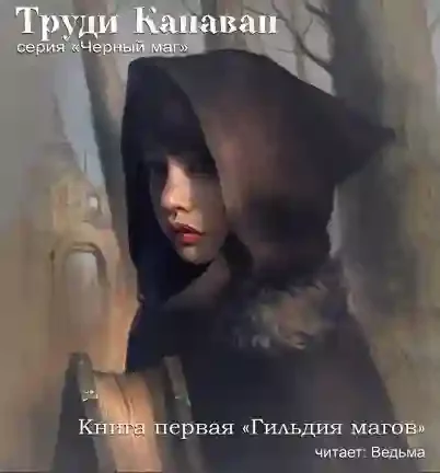 постер аудиокниги Гильдия магов